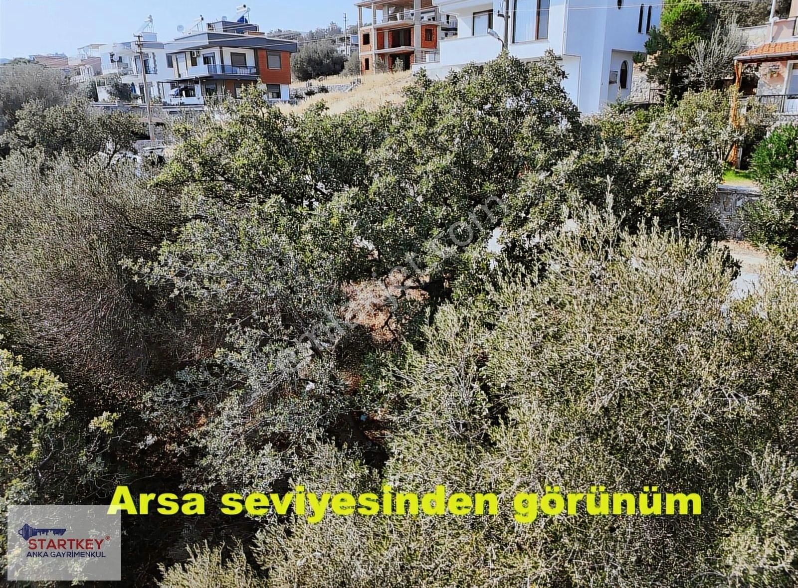 Startkey Anka'dan Çandarlı Bimeyko'da Satılık Villa Arsası - Görsel 2