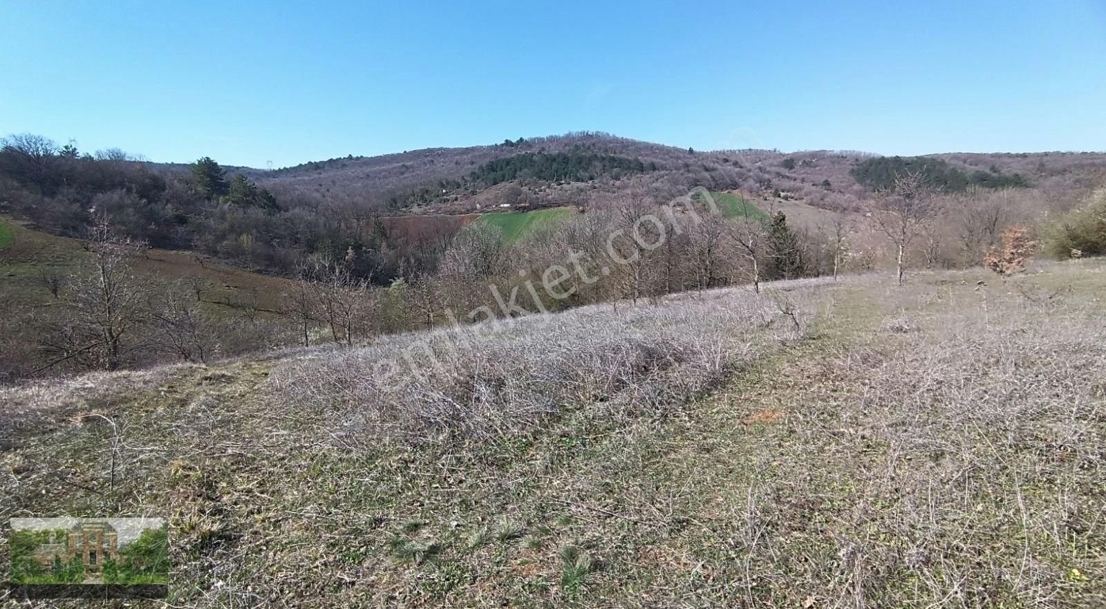 Bursa Yenişehir Marmaracık 25 Dönüm Hisseli Tarla - Görsel 5