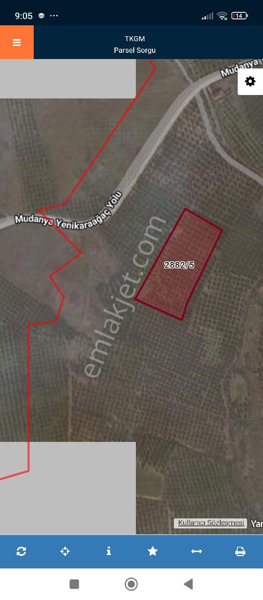 Bursa Mudanya Yaliçiftlik Mahallesi Satılık 1700 Mt Zeytinlik Ve Tarla - Görsel 2