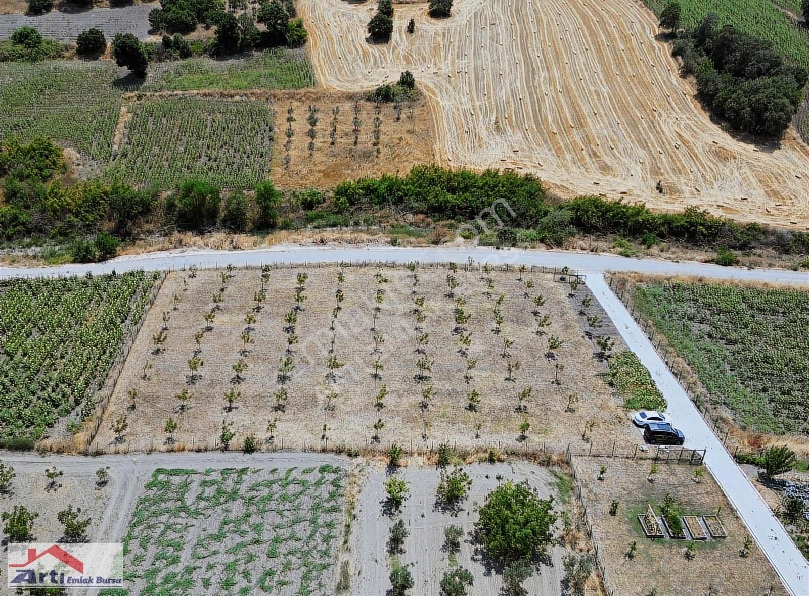 Artı'dan Karacaoba'da Asfalt Yola 75m Cephe Kupon Arazi - Görsel 6