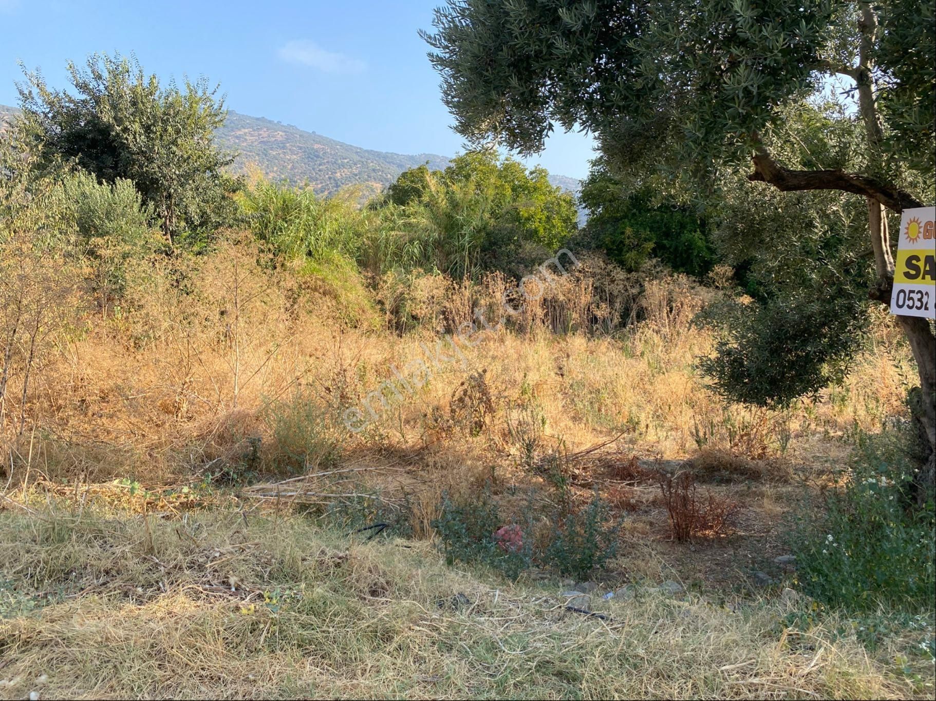 İzmir Bayındır Zeytinova Mahallesi Satılıkbahçe Kelepir - Görsel 5