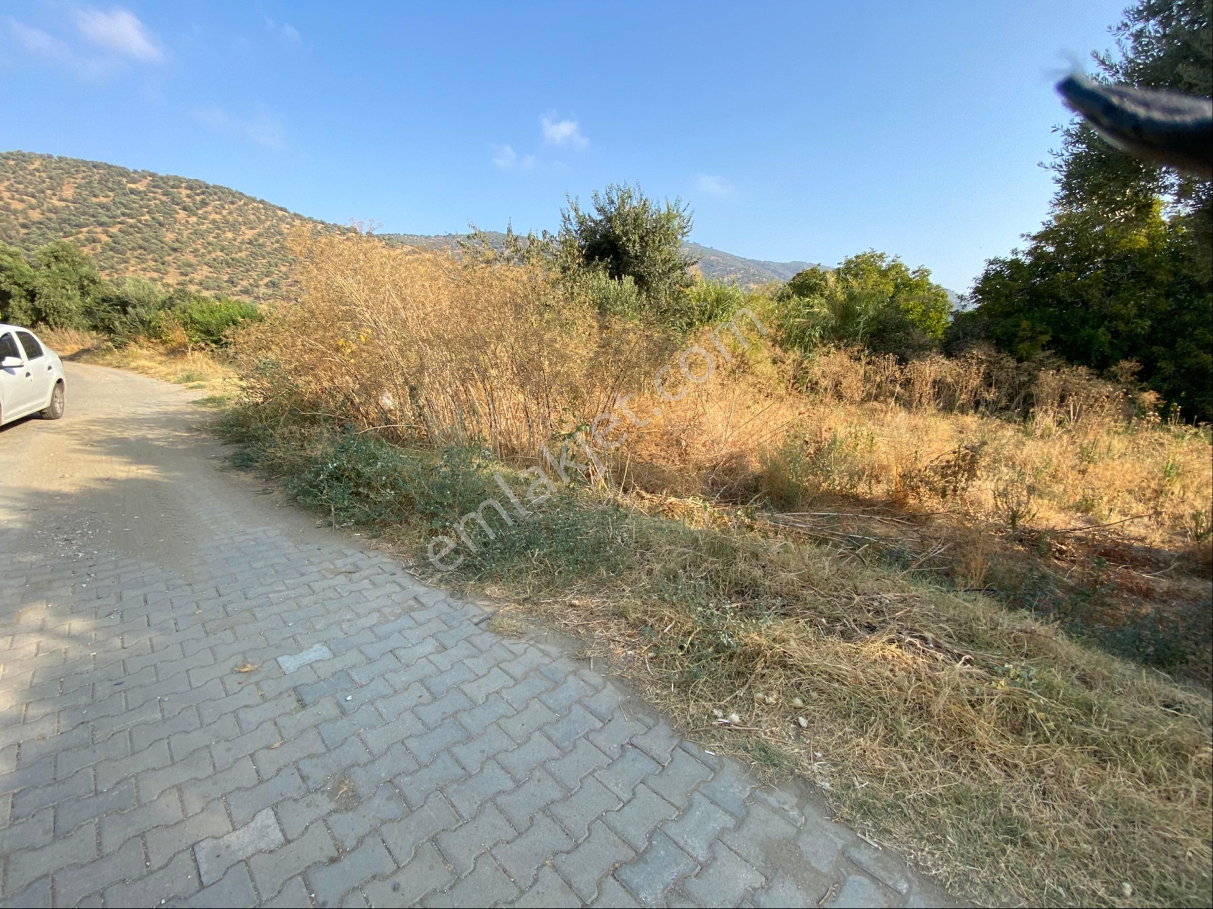 İzmir Bayındır Zeytinova Mahallesi Satılıkbahçe Kelepir - Görsel 2