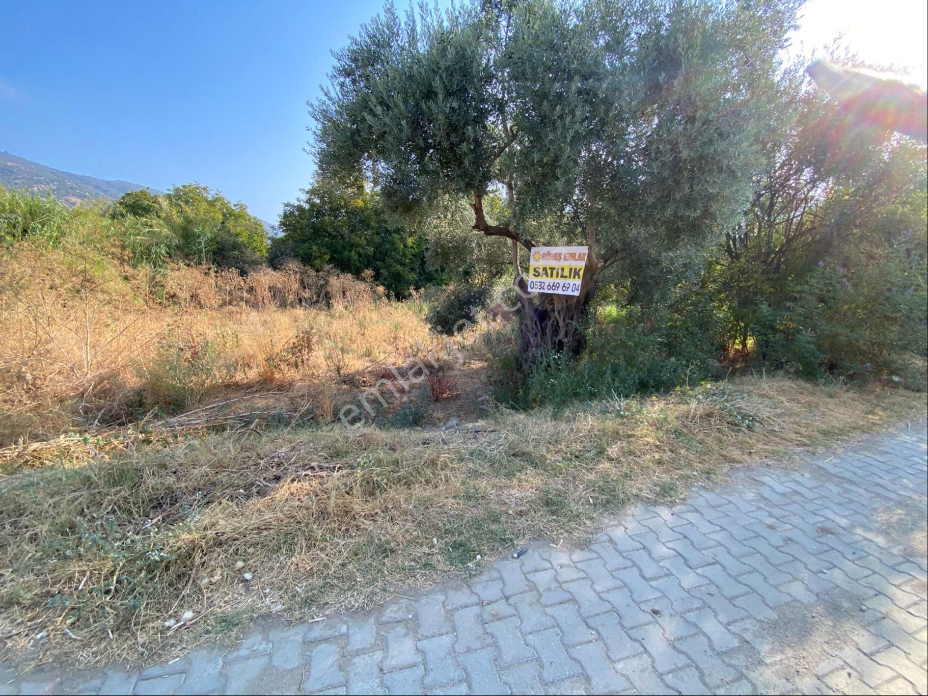 İzmir Bayındır Zeytinova Mahallesi Satılıkbahçe Kelepir - Görsel 3