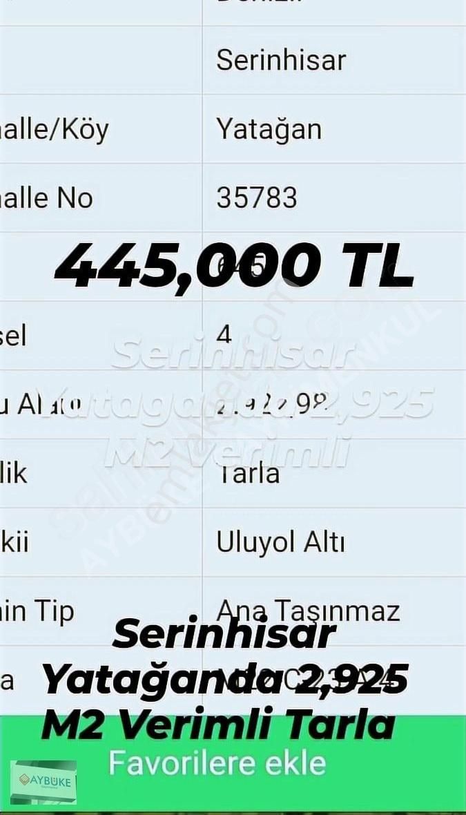 Serinhisar Yatağan Da Ovayurt Sınırında Tarla