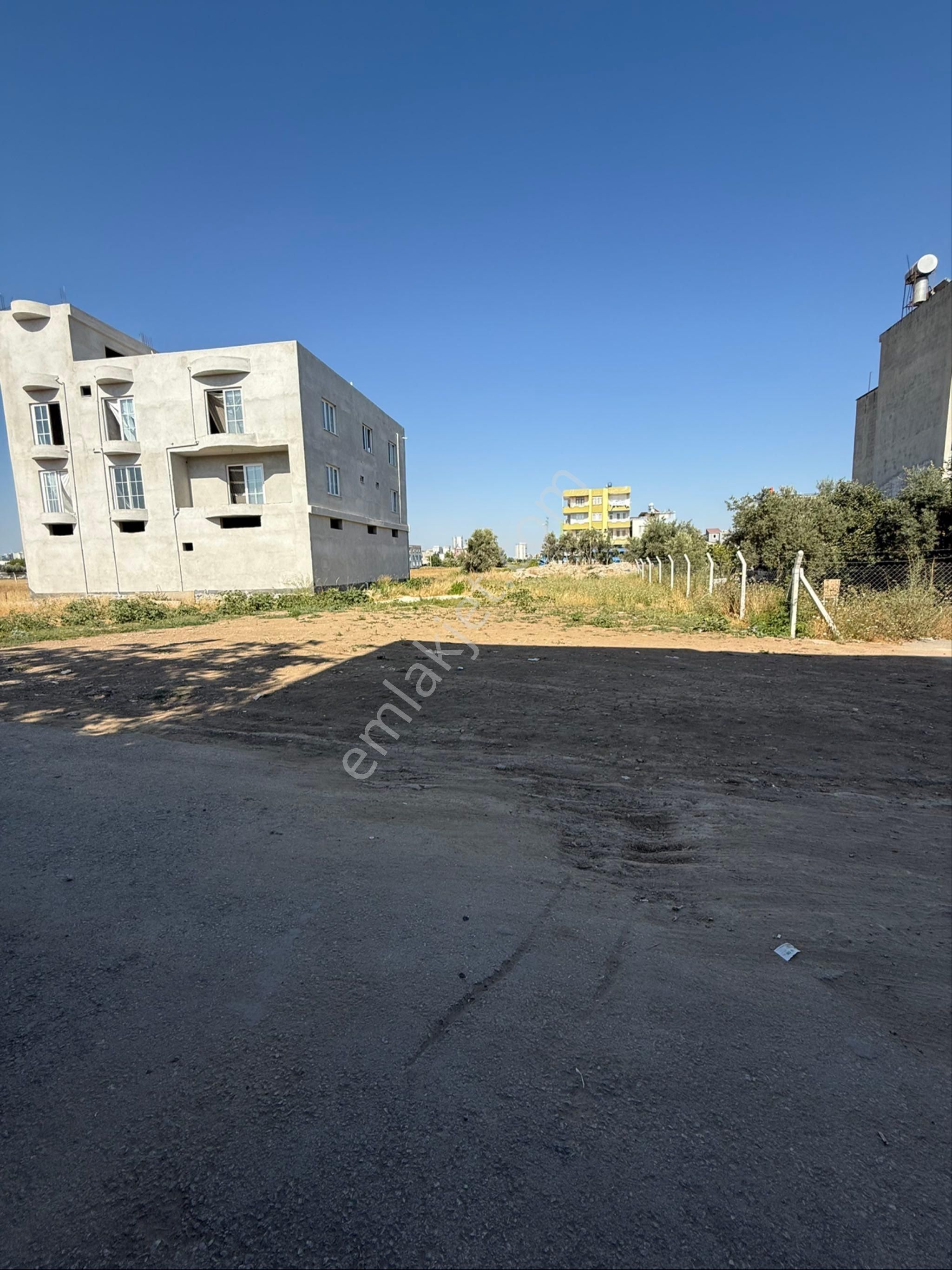 Yeşiloba Da Tek Tapulu Arsa