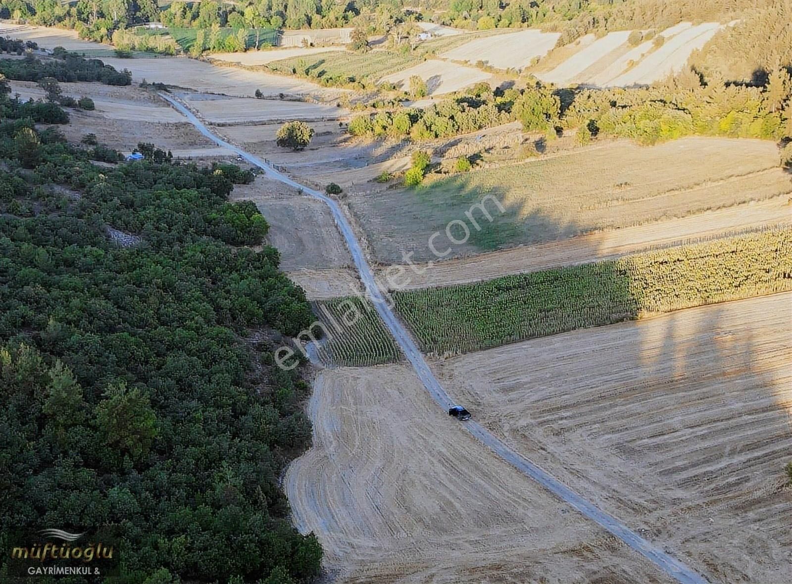 Müftüoğlu'ndan Yenişehir Günece Mah. Satılık Tarla - Görsel 6