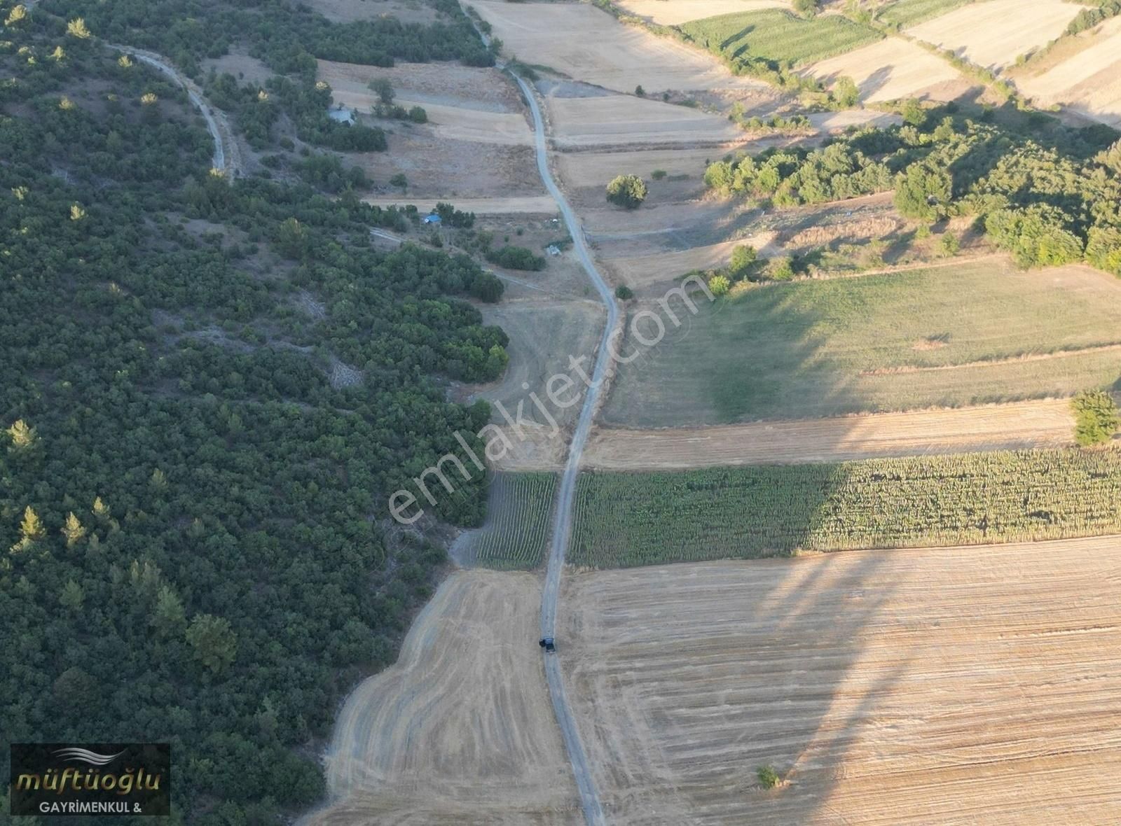 Müftüoğlu'ndan Yenişehir Günece Mah. Satılık Tarla - Görsel 3