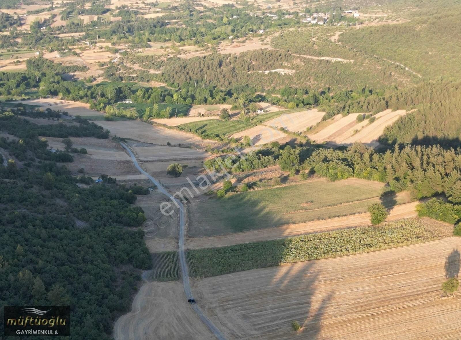 Müftüoğlu'ndan Yenişehir Günece Mah. Satılık Tarla - Görsel 2