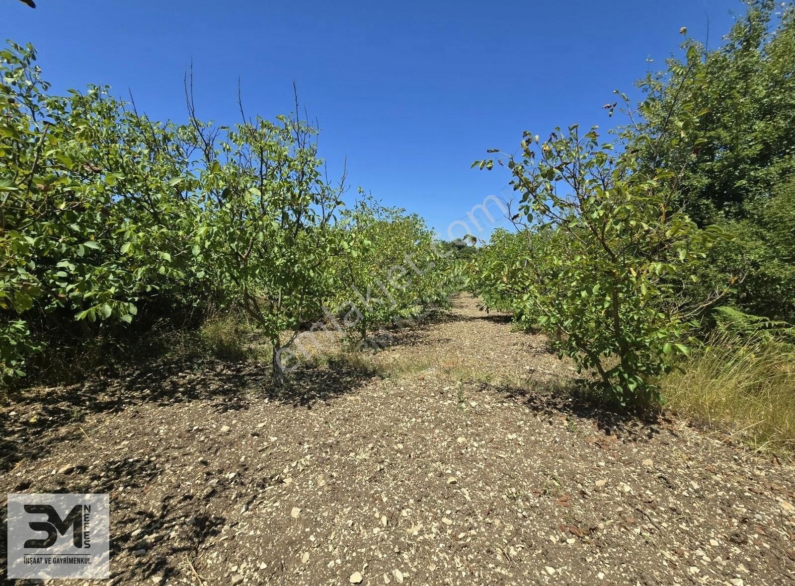 Kandıra Çalca Köy İçi Yola Cephe 1531 M2 Müstakil Ev Ve Bahçesi - Görsel 20
