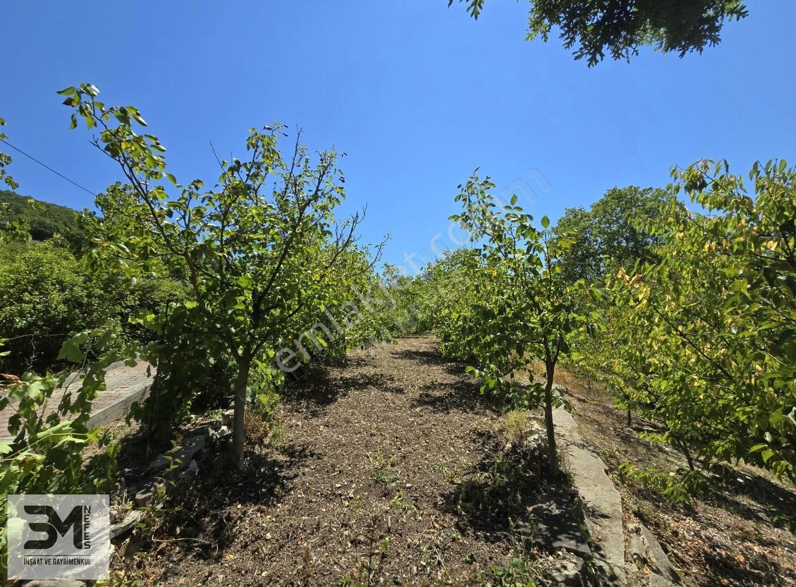 Kandıra Çalca Köy İçi Yola Cephe 1531 M2 Müstakil Ev Ve Bahçesi - Görsel 16