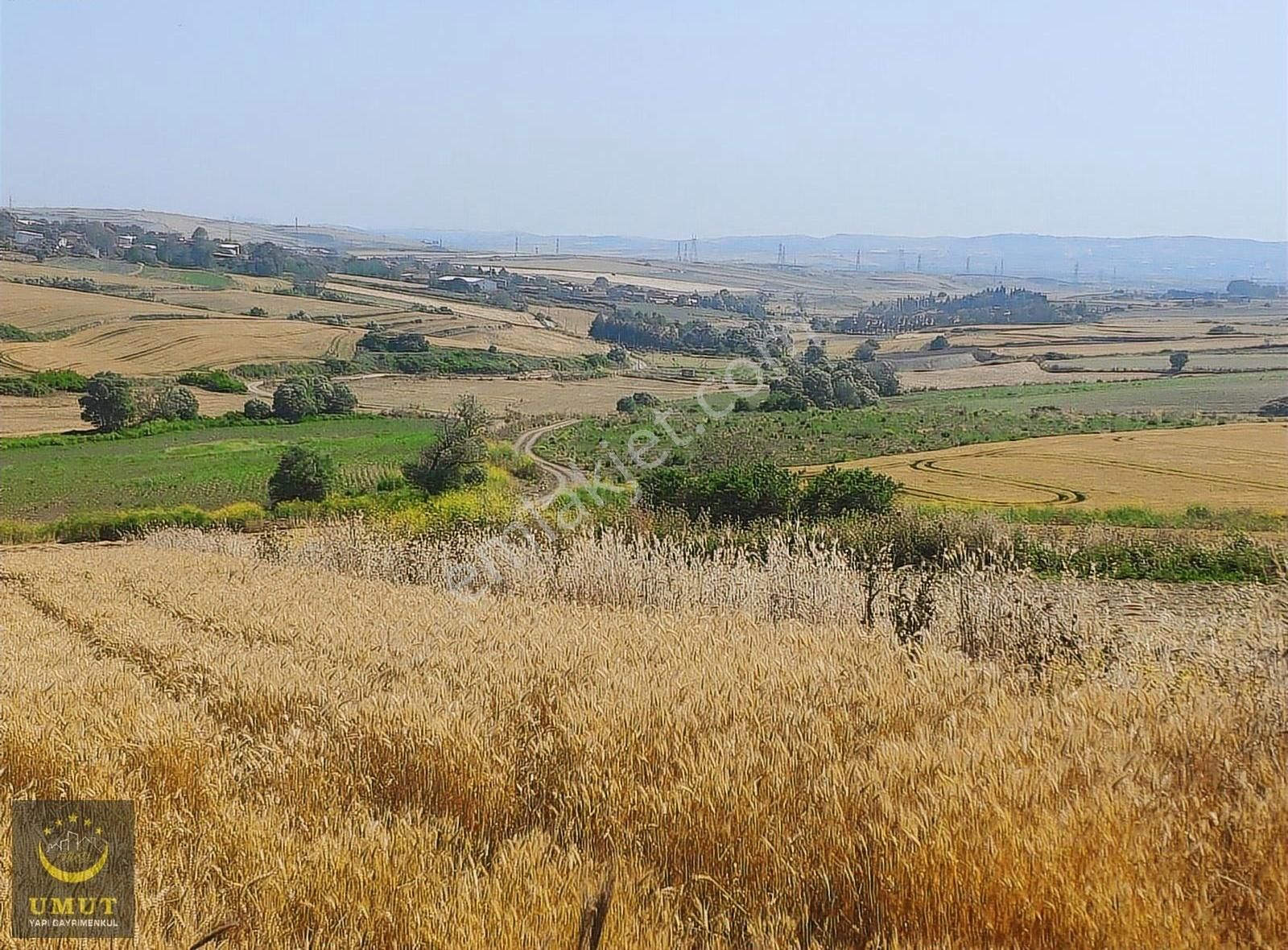 Çatalca Nakkaş'ta Köy'e Yakın Kadastro Yola Cephe Satılık Tarla. - Görsel 2