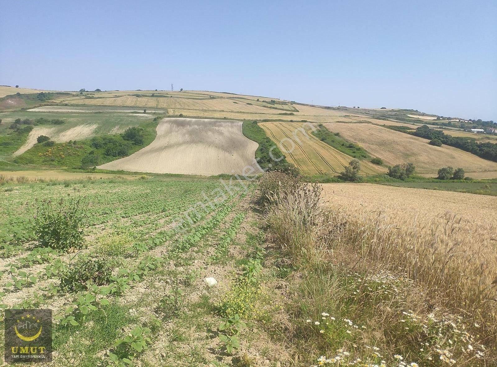 Çatalca Nakkaş'ta Köy'e Yakın Kadastro Yola Cephe Satılık Tarla. - Görsel 4
