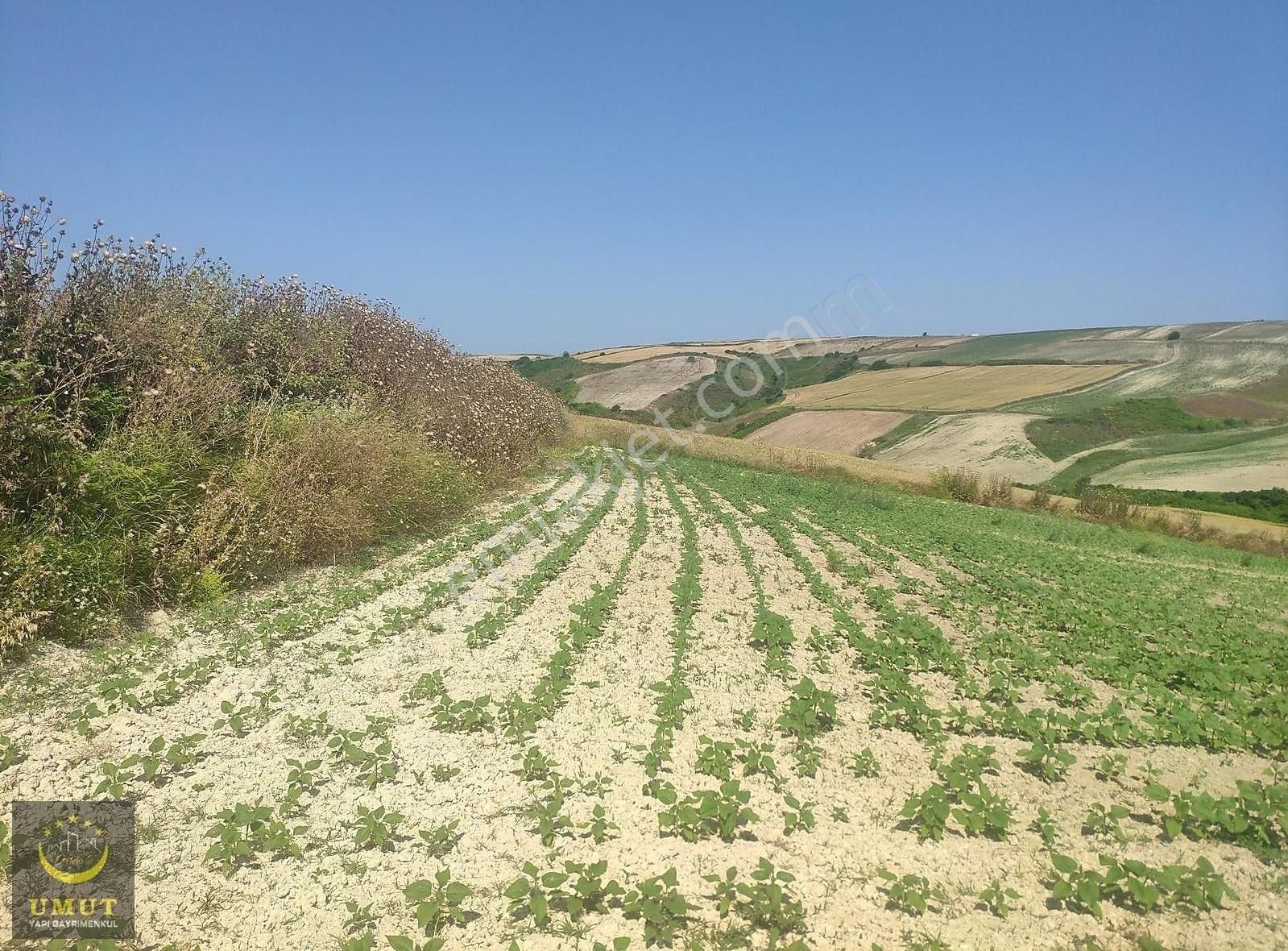 Çatalca Nakkaş'ta Köy'e Yakın Kadastro Yola Cephe Satılık Tarla. - Görsel 6