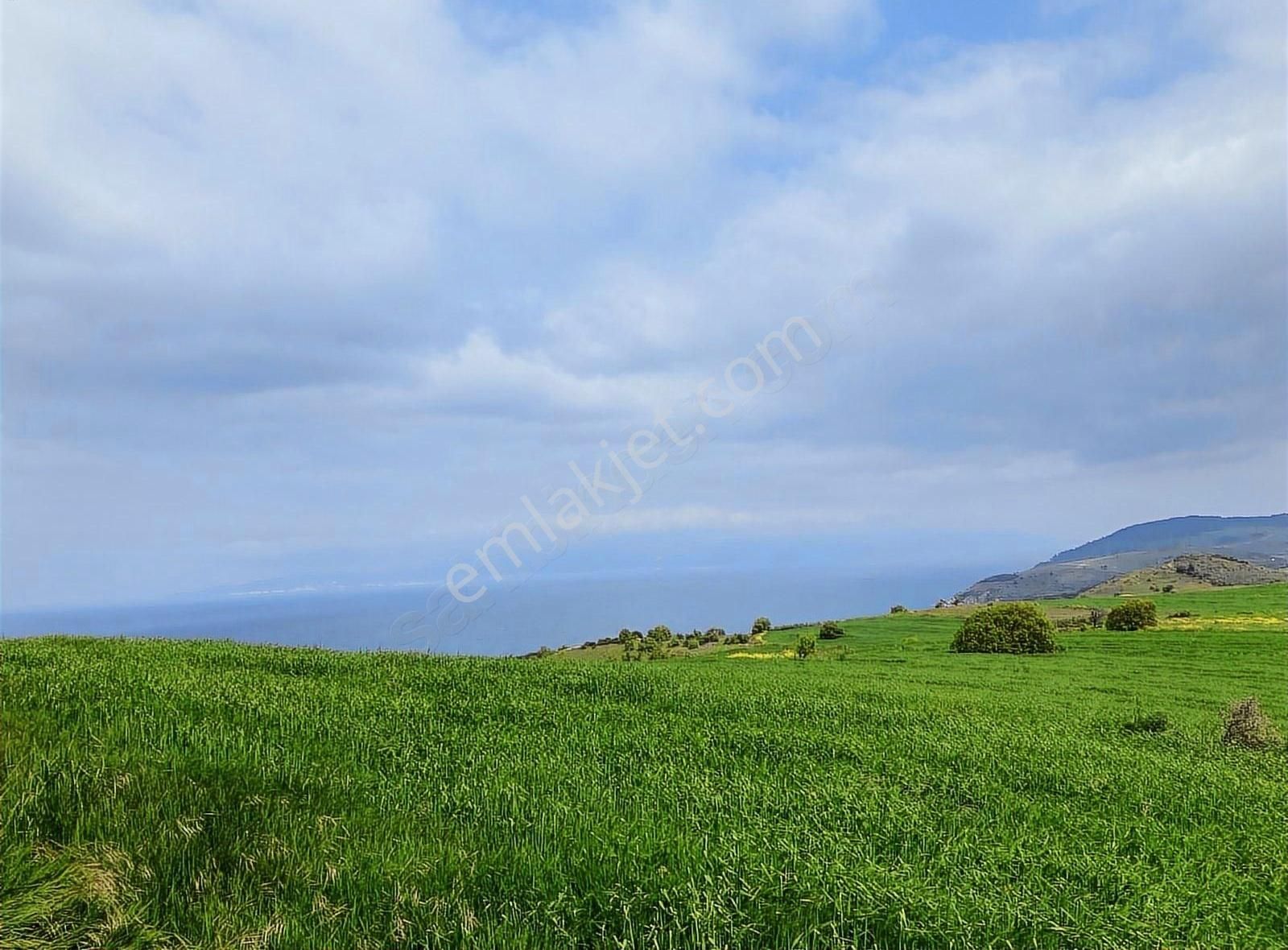 Bursa Mudanya Yalıçiflik Deniz Manzaralı Satılık Arazi - Görsel 14