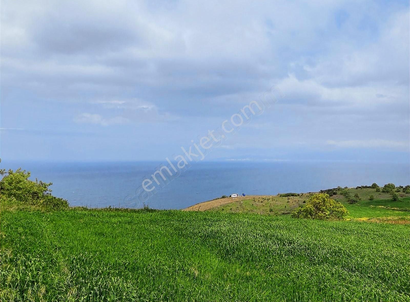 Bursa Mudanya Yalıçiflik Deniz Manzaralı Satılık Arazi - Görsel 13