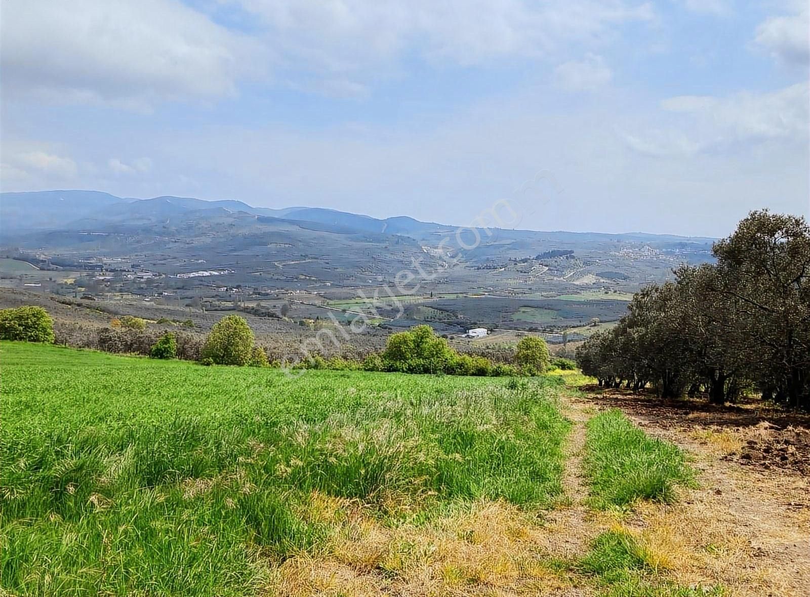 Bursa Mudanya Yalıçiflik Deniz Manzaralı Satılık Arazi - Görsel 18