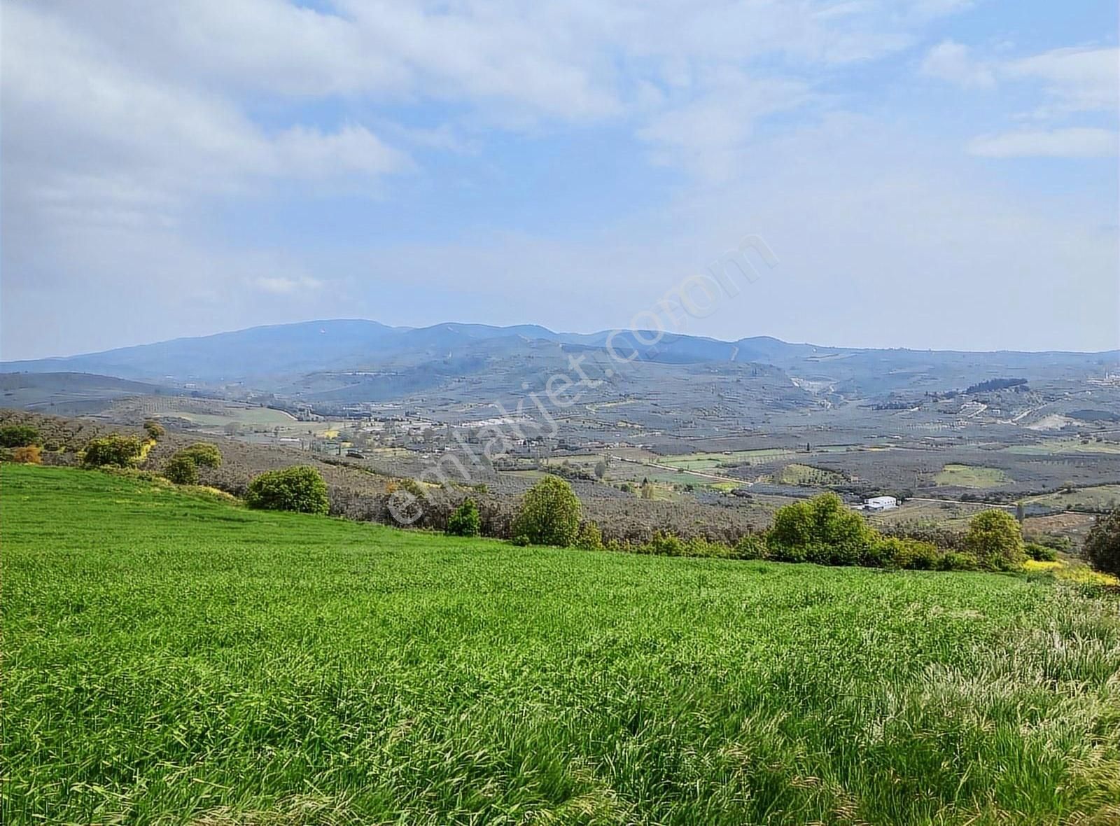 Bursa Mudanya Yalıçiflik Deniz Manzaralı Satılık Arazi - Görsel 7