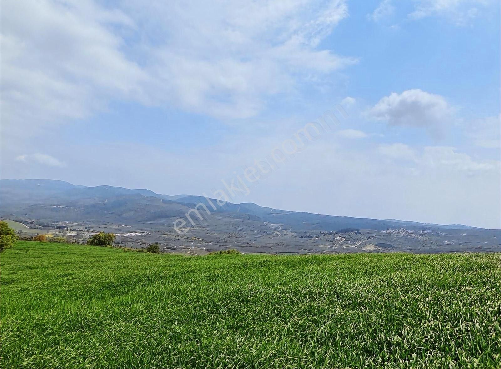 Bursa Mudanya Yalıçiflik Deniz Manzaralı Satılık Arazi - Görsel 16