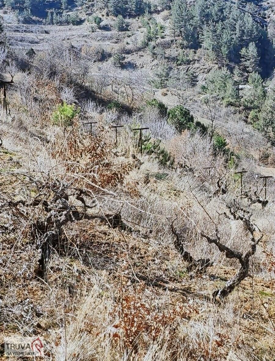 Balıkesir Bigadiç Kızılçukur 2018m2 Üzüm Bağı Köy İçi Yolu Var - Görsel 5