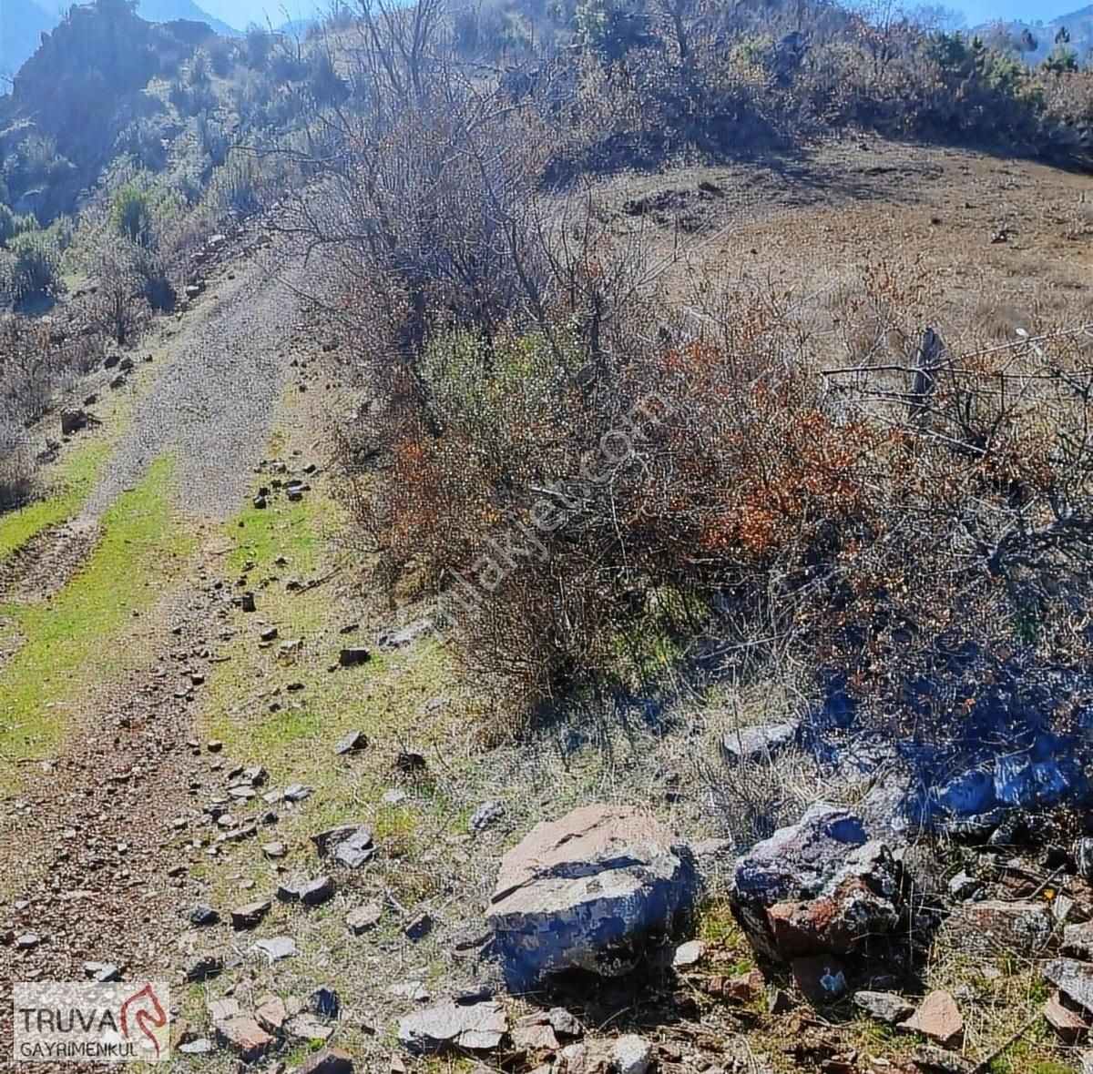 Balıkesir Bigadiç Kızılçukur 2018m2 Üzüm Bağı Köy İçi Yolu Var - Görsel 6