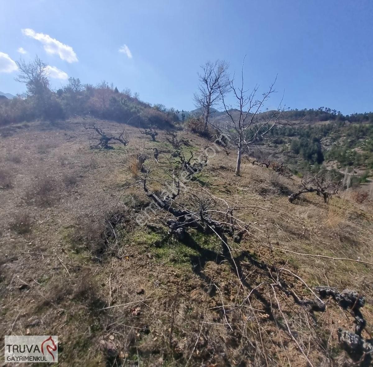 Balıkesir Bigadiç Kızılçukur 2018m2 Üzüm Bağı Köy İçi Yolu Var - Görsel 4