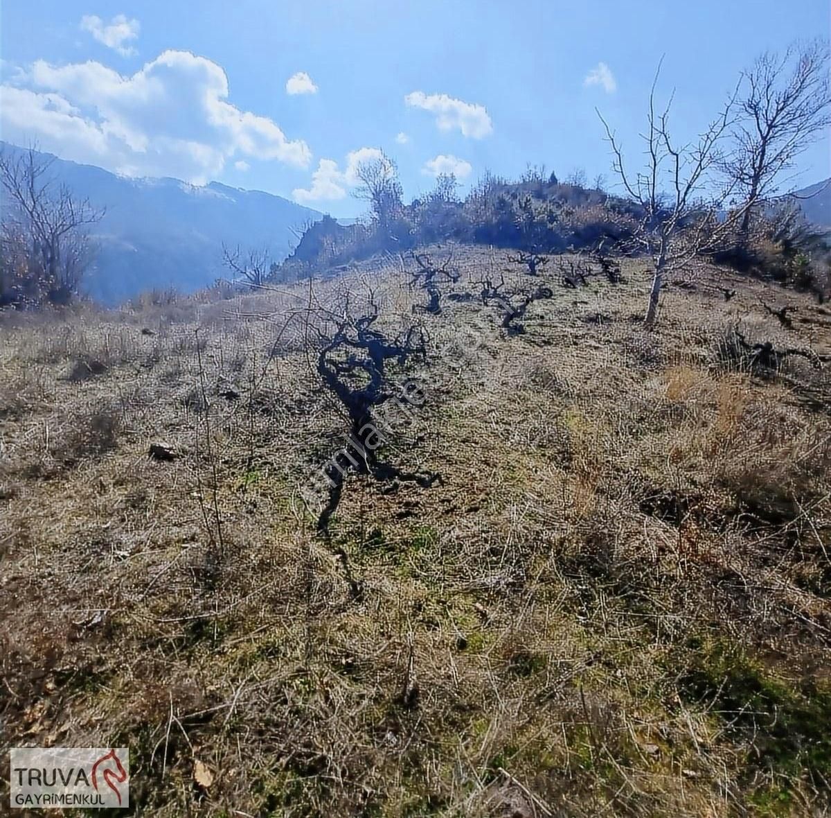 Balıkesir Bigadiç Kızılçukur 2018m2 Üzüm Bağı Köy İçi Yolu Var - Görsel 9