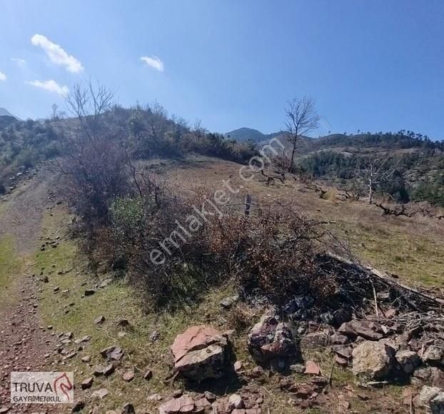 Balıkesir Bigadiç Kızılçukur 2018m2 Üzüm Bağı Köy İçi Yolu Var