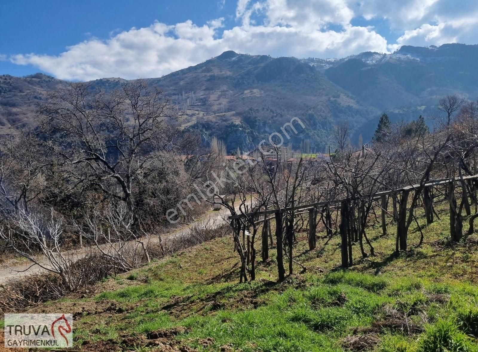 Balıkesir Bigadiç Kızılçukur 2018m2 Üzüm Bağı Köy İçi Yolu Var - Görsel 8