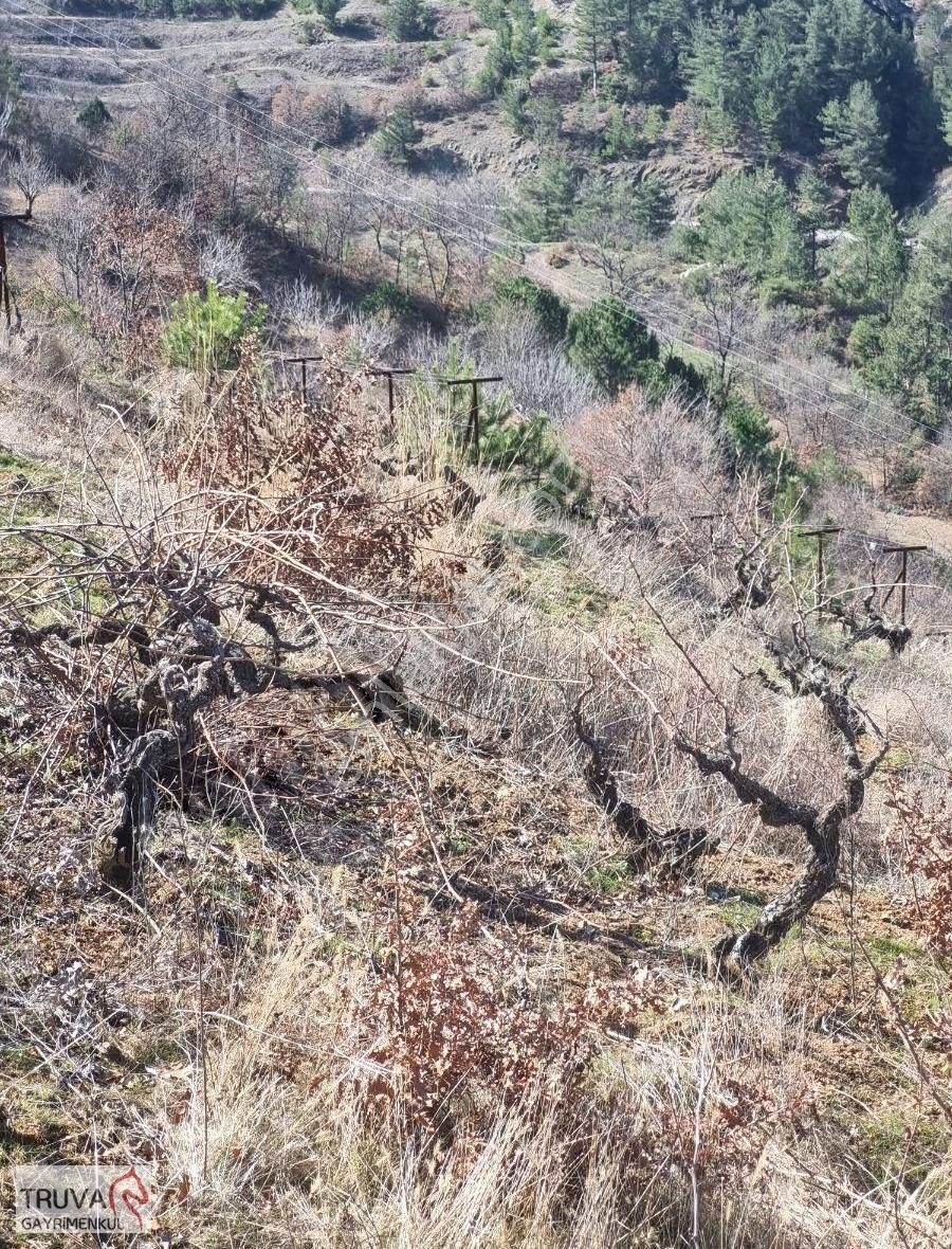 Balıkesir Bigadiç Kızılçukur 2018m2 Üzüm Bağı Köy İçi Yolu Var - Görsel 7