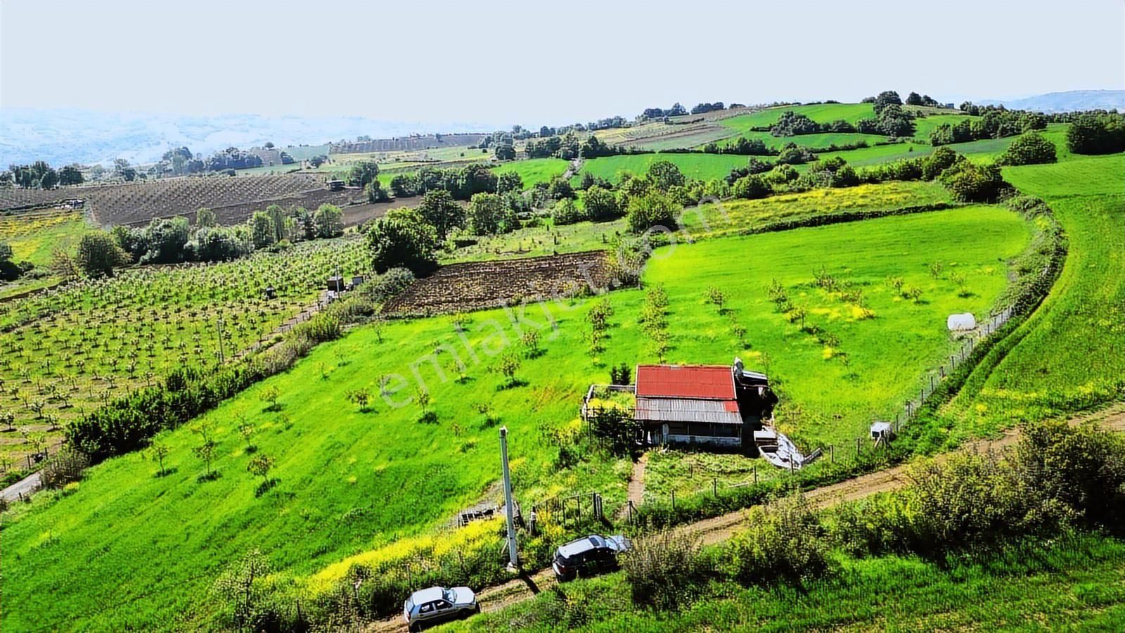 Kocaeli Karamürsel Yalakdere 13,442 M2 Tarla İçinde Evi Olan