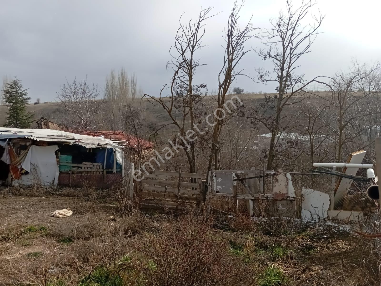 Seyitgazi Sarayörende Acil Satılık Köy Evi Ve Arsa - Görsel 3