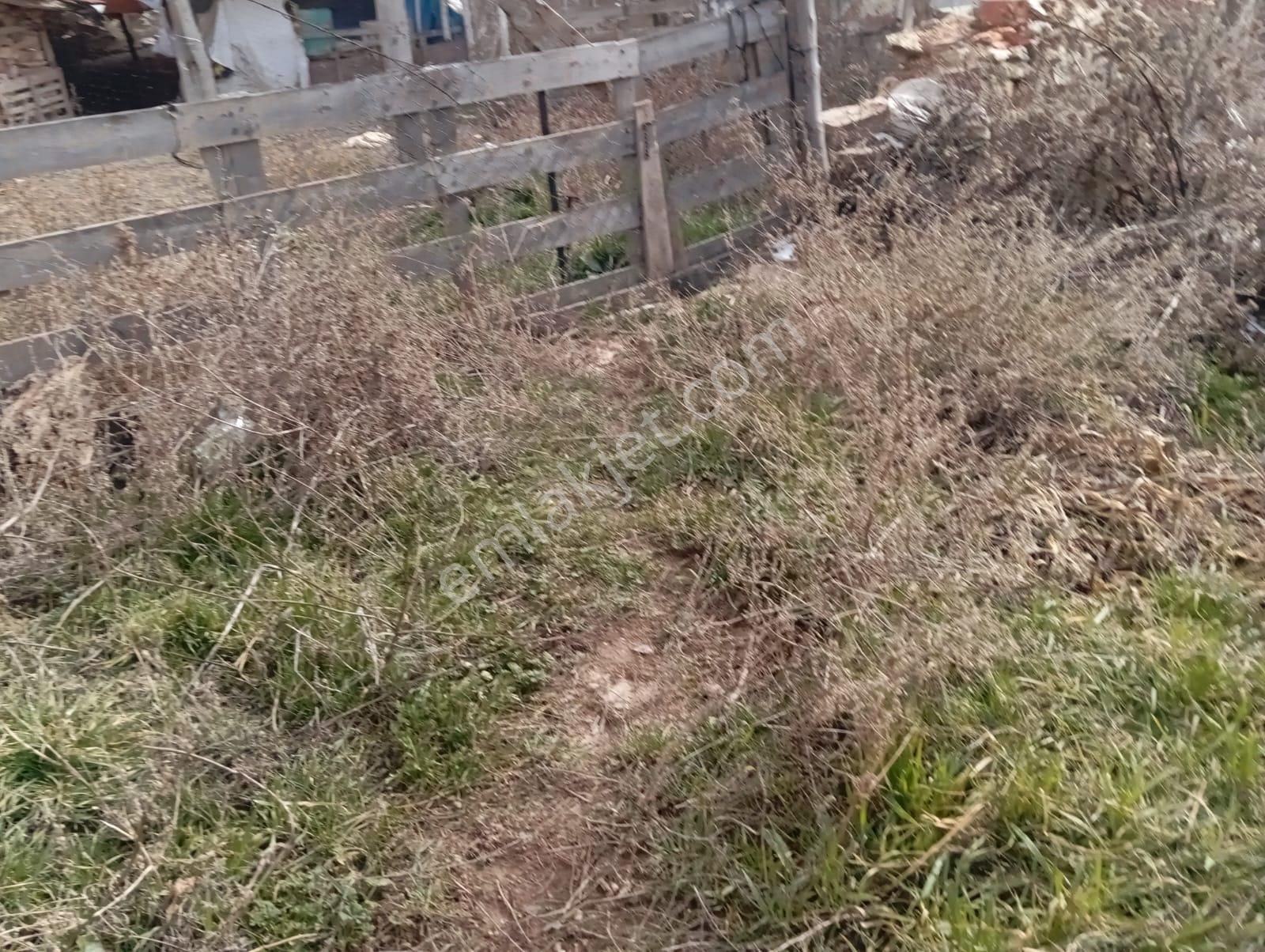 Seyitgazi Sarayörende Acil Satılık Köy Evi Ve Arsa - Görsel 4