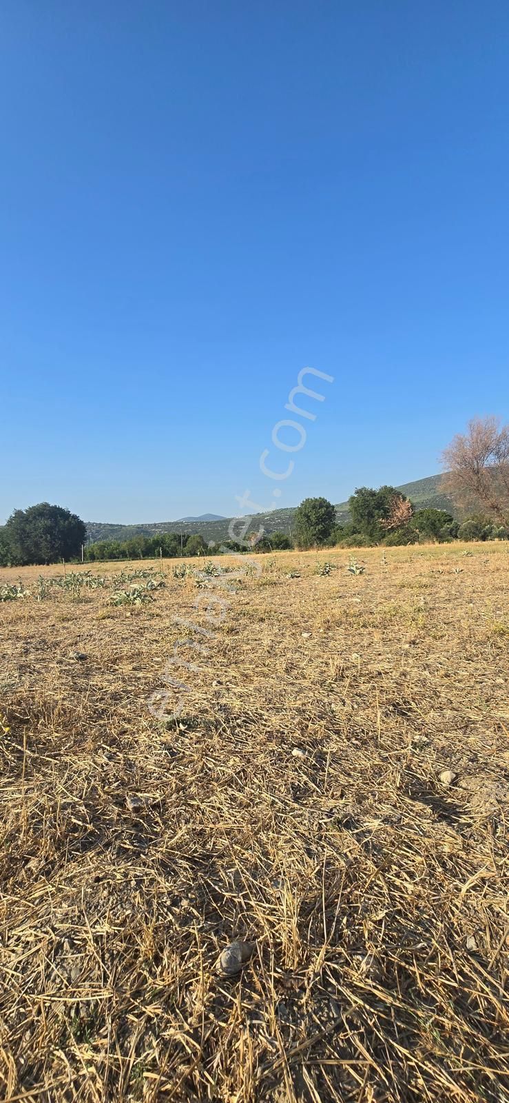 Muğla Menteşe Yeşilyurt Bağ Evi Yapılabilir Satılık Tarla