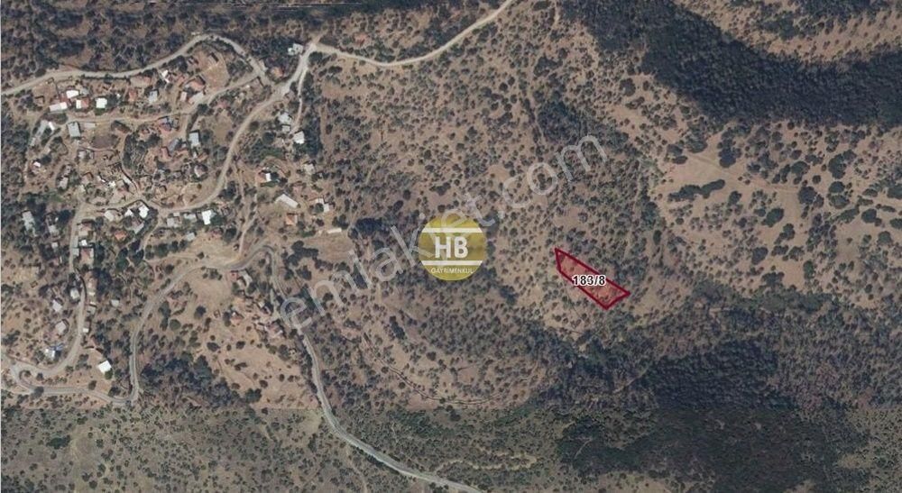 Hb'den Satılık Zeytinlik, Çine Çöğürlük Mahallesi 1.649,05 M² - Görsel 6