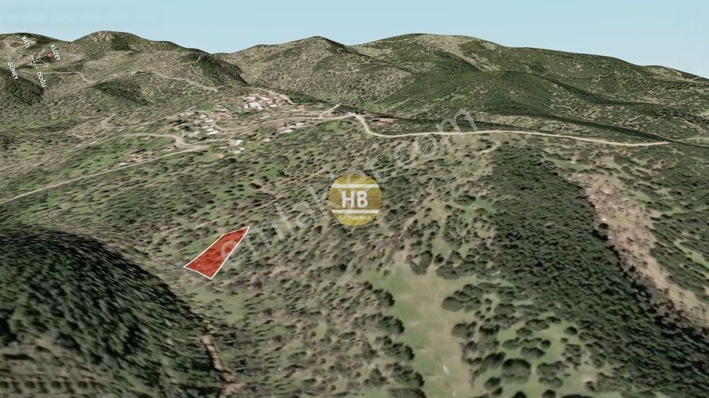 Hb'den Satılık Zeytinlik, Çine Çöğürlük Mahallesi 1.649,05 M² - Görsel 5