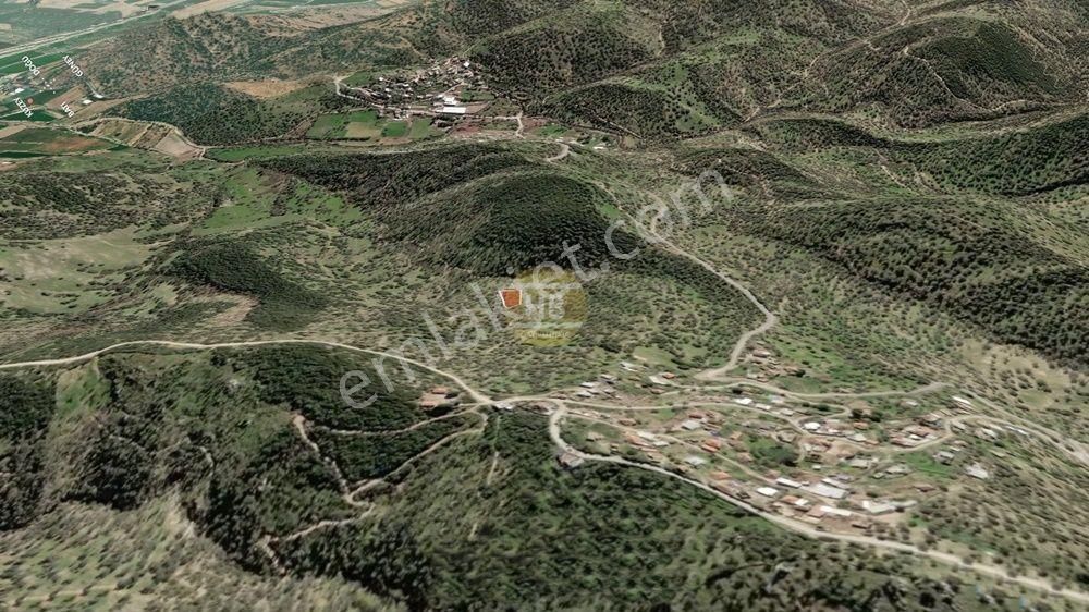Hb'den Satılık Zeytinlik, Çine Çöğürlük Mahallesi 1.649,05 M² - Görsel 2
