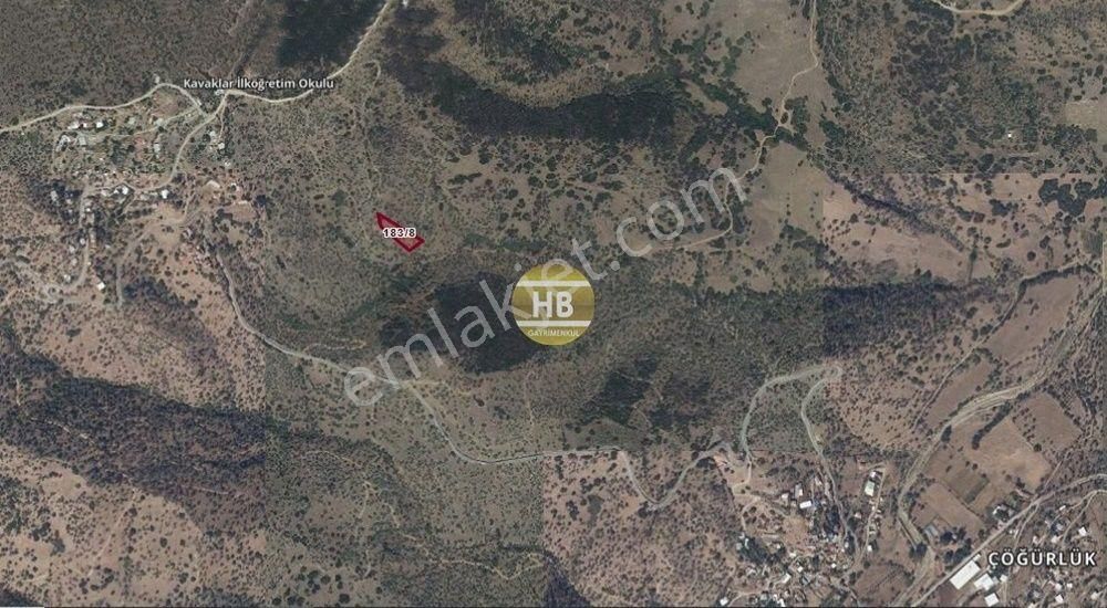 Hb'den Satılık Zeytinlik, Çine Çöğürlük Mahallesi 1.649,05 M² - Görsel 7