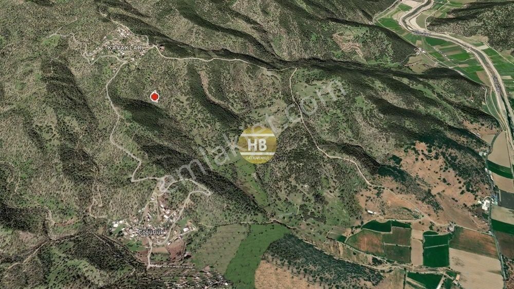 Hb'den Satılık Zeytinlik, Çine Çöğürlük Mahallesi 1.649,05 M² - Görsel 3