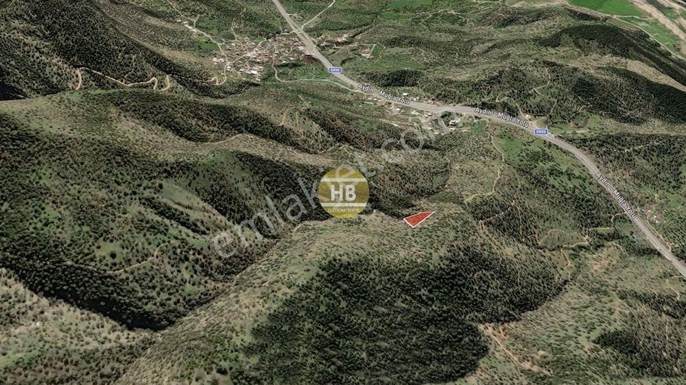 Hb'den Satılık Zeytinlik, Çine Hallaçlar Mahallesi 3.587,53 M² - Görsel 2