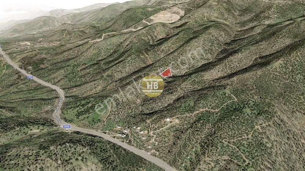 Hb'den Satılık Zeytinlik, Çine Hallaçlar Mahallesi 3.587,53 M² - Görsel 4