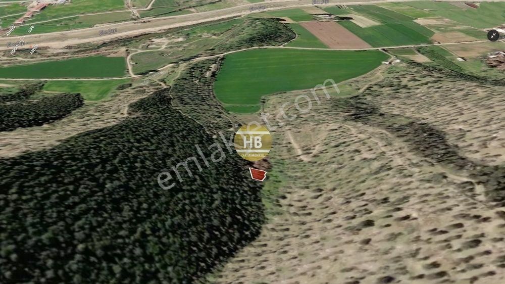 Hb'den Satılık Zeytinlik, Çine Hallaçlar Mahallesi 298,65 M² - Görsel 3