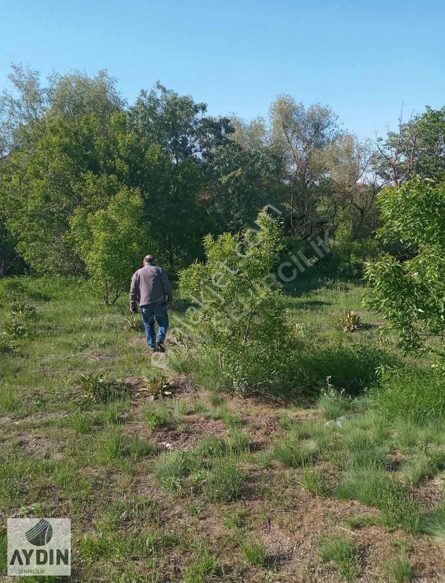 Aydın Satıyordan Meram Karadiğin Mh Mükemmel Konumda Bağ Bahçe - Görsel 10