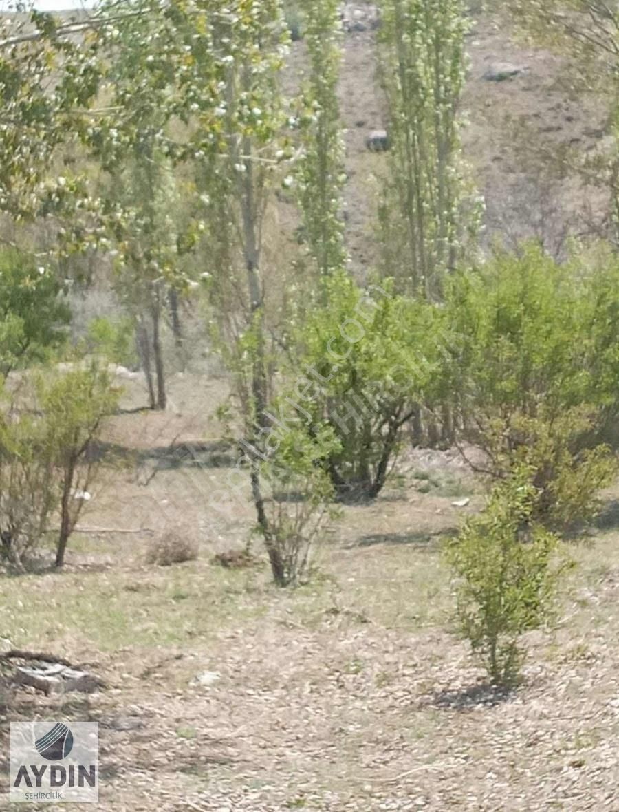 Aydın Satıyordan Meram Karadiğin Mh Mükemmel Konumda Bağ Bahçe - Görsel 8