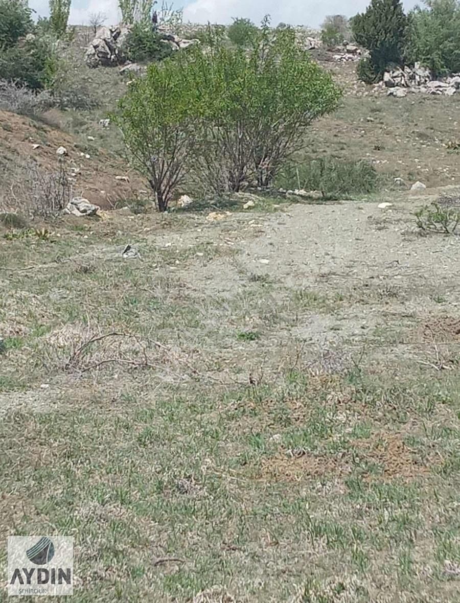 Aydın Satıyordan Meram Karadiğin Mh Mükemmel Konumda Bağ Bahçe - Görsel 7