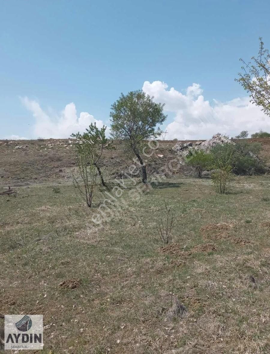 Aydın Satıyordan Meram Karadiğin Mh Mükemmel Konumda Bağ Bahçe - Görsel 4