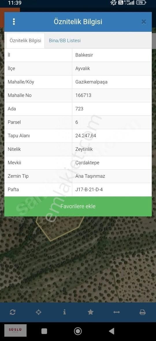 Ayvalık Gazikemal Mh. Satılık Etrafı Telle Çevrili Zeytinlik