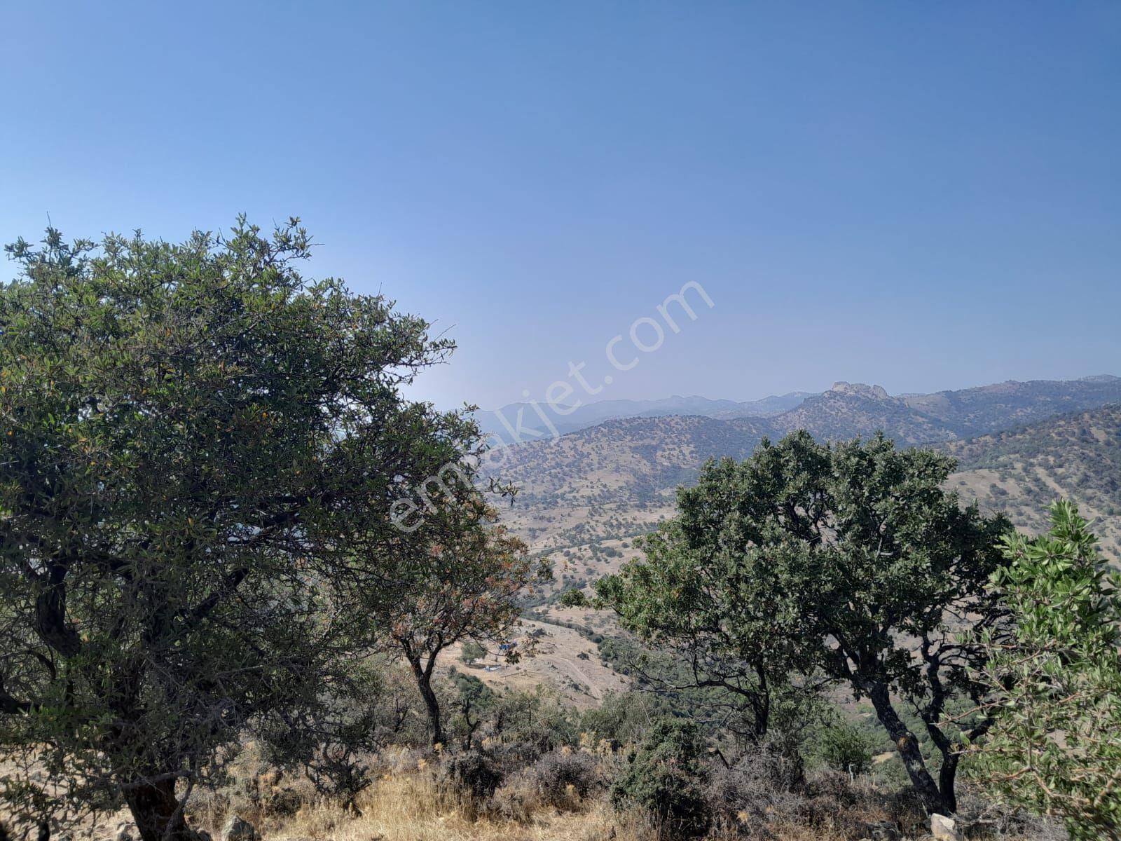 Dikili Güven Emlak'tan İslamlar Köyünde Satılık 9160 M2 Palamutlu Tarla - Görsel 7