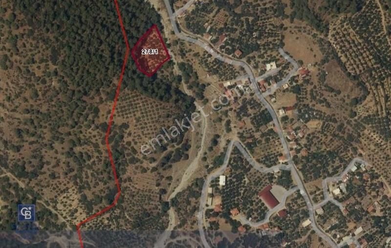 Aydın Kuyucak Gencelli Mah. 3.801 M² Satılık Tarla