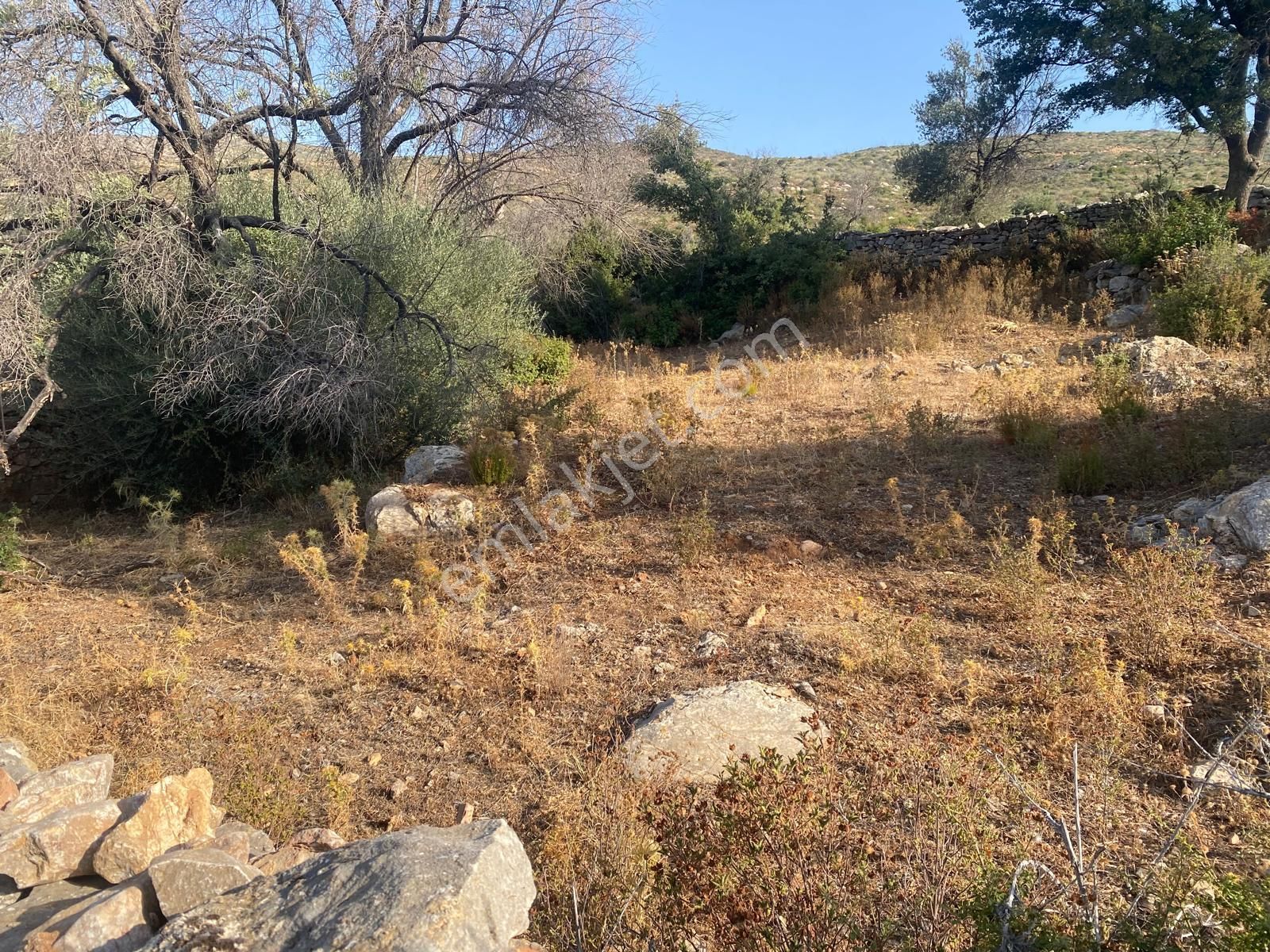 Bodrum - Mazı' Da 338 M2 Satılık Tarla - Görsel 3