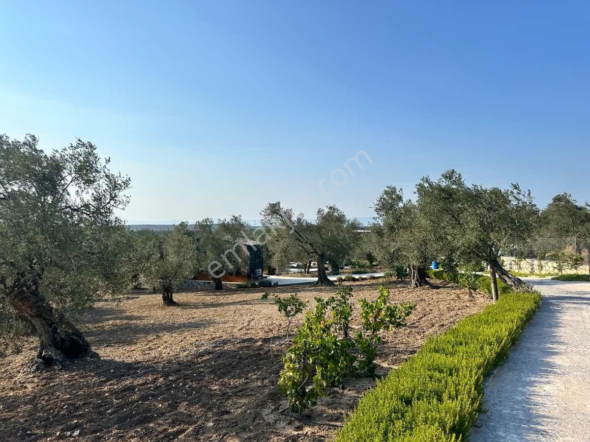 Satılık Komple Çıftlık Genış Ve Yenı Bına, Vılla , Tıny House Ve Meyve Ağaçlı, Otel Ve Turızm Uygun - Görsel 11